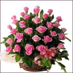 "Love Central - Click here to View more details about this Product